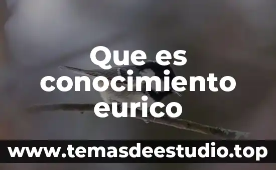 Que es conocimiento eurico