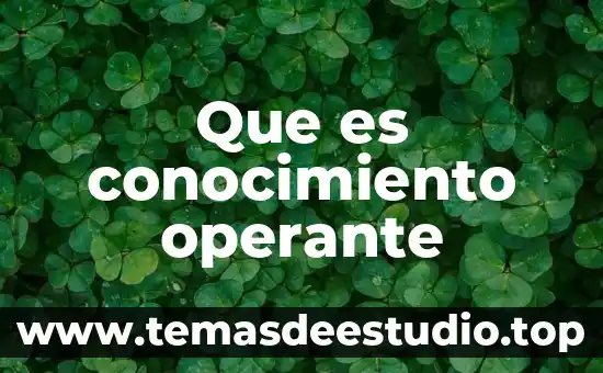 Que es un conocimiento ancestral 3 Que es conocimiento operante