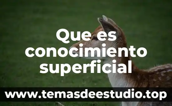 Que es conocimiento superficial