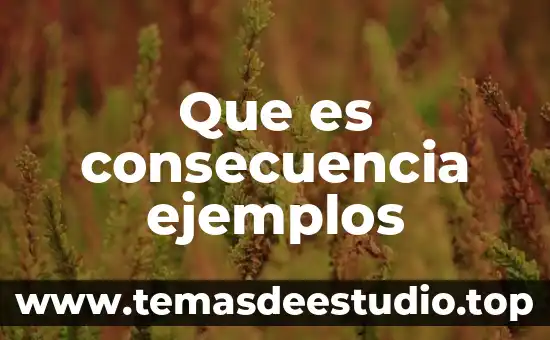 Que es medir en metrologia y ejemplos 3 Que es consecuencia ejemplos
