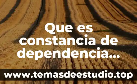 Que es plano de dependencia 4 Que es constancia de dependencia economica