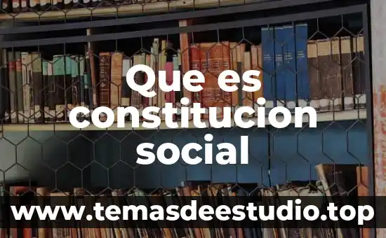 Que es constitucion social