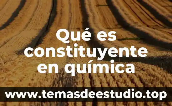 Que es una sociedad de fin ilicito 4 Qué es constituyente en química