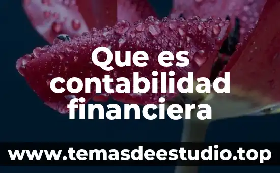 Que es contabilidad financiera