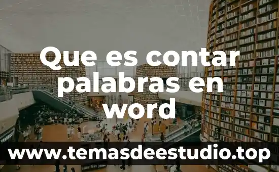 Que es el solid word 3 Que es contar palabras en word