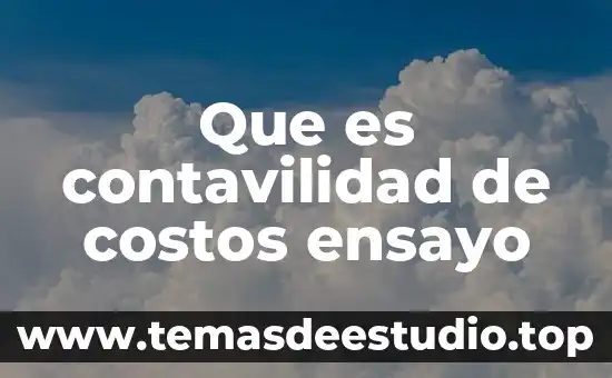 Que es contavilidad de costos ensayo