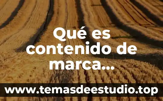 Qué es contenido de marca Instagram