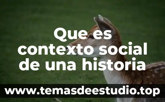 Que es un plan detox 5 Que es contexto social de una historia