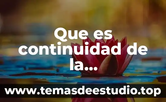 Que es continuidad de la infraestructura informática