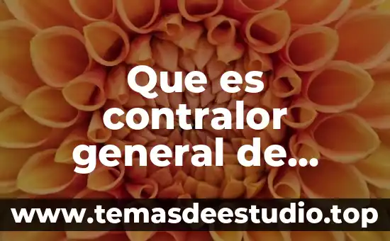 Que es contralor general de gobierno