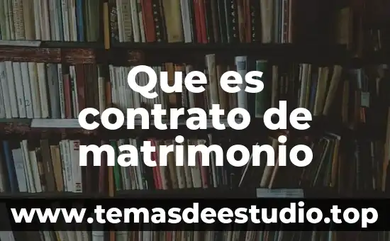 Qué es el matrimonio concepto jurídico 3 Que es contrato de matrimonio