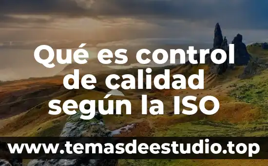 Qué es un controlador de documentos en las ISO 6 Qué es control de calidad según la ISO