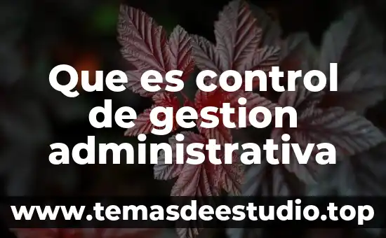 Qué es una práctica administrativa significado 5 Que es control de gestion administrativa