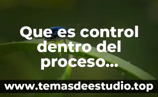 Que es la organizacion como proceso administrativo por 7 Que es control dentro del proceso administrativo