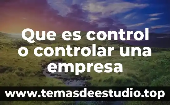Que es control o controlar una empresa