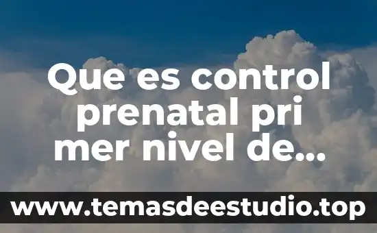 Qué es la demanda de atención en la historia social 4 Que es control prenatal pri mer nivel de atencion