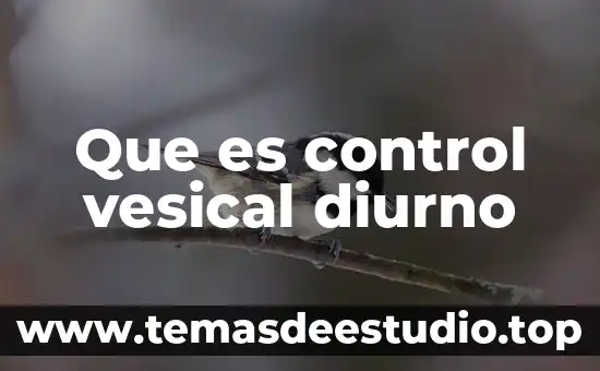 Que es la teoría del control cultural 4 Que es control vesical diurno