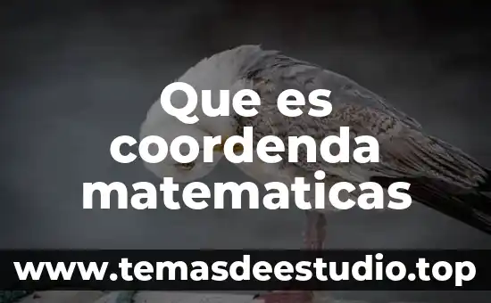 Que es pre algebra matematicas 7 Que es coordenda matematicas