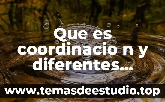 Autores reconocidos sobre qué es identidad 7 Que es coordinacio n y diferentes autores