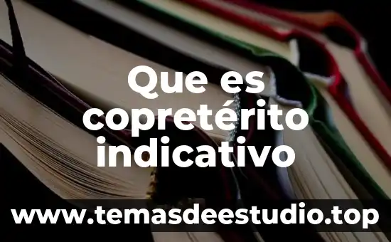 Que es futur de indicativo 5 Que es copretérito indicativo