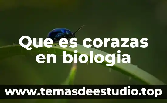 Que es la biologia libros 7 Que es corazas en biologia