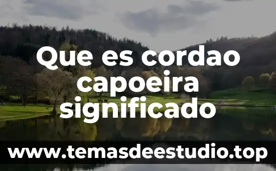 Que es error estandar concepto 8 Que es cordao capoeira significado