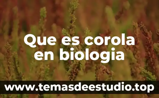 Biologia que es eco sufijo griego 6 Que es corola en biologia