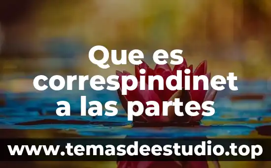 Que es un libro y sus partes para niños 6 Que es correspindinet a las partes