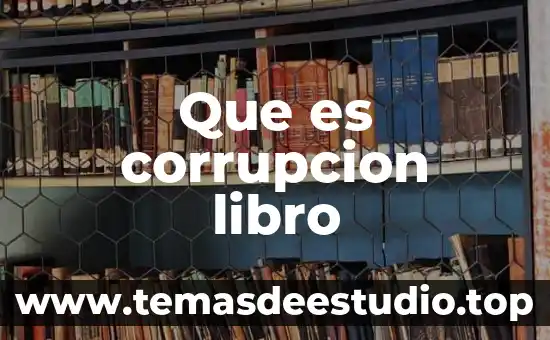 Que es corrupcion libro