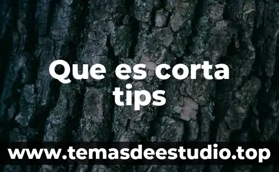 Qué es el páncreas definición corta 3 Que es corta tips