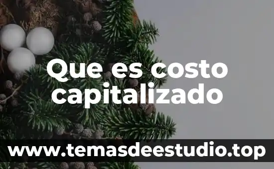 Que es costo capitalizado