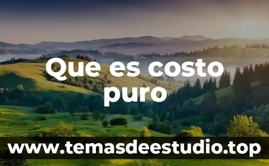 Que es la valuación de acciones 5 Que es costo puro