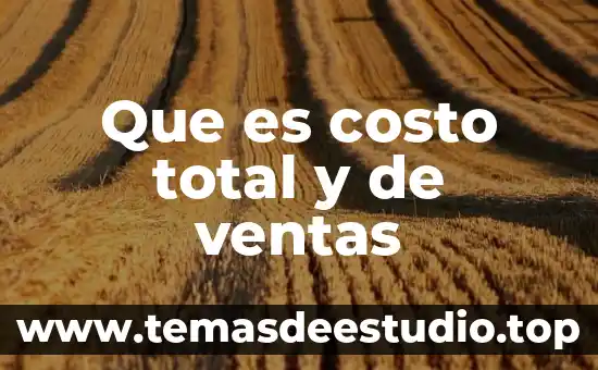 Que es costo unitario planta 6 Que es costo total y de ventas