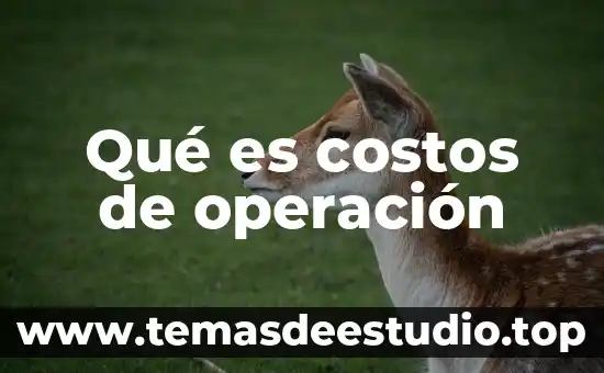 Qué es el flujo de costos en gastronomía 5 Qué es costos de operación