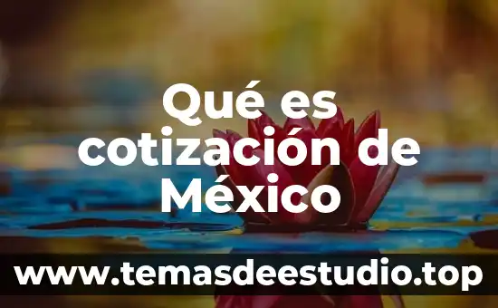 Que es el tipo de grafico cotizacion 5 Qué es cotización de México