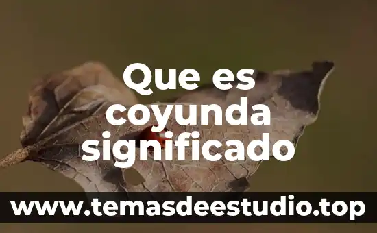 Que es momento de inercia significado 6 Que es coyunda significado