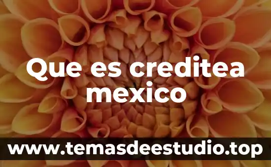 Que es creditea mexico