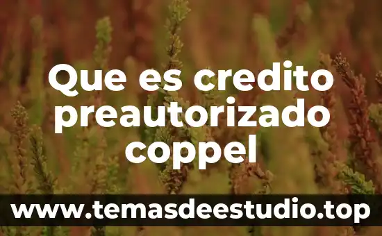 Qué es una reestructuración de cuenta coppel 3 Que es credito preautorizado coppel
