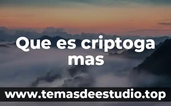 Que es identidad del mas alla de las fronteras 3 Que es criptoga mas