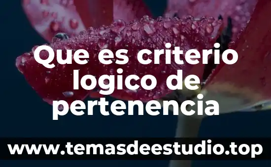 Que es criterio logico de pertenencia