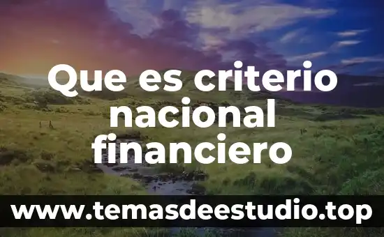 Que es el monto en termino financiero 8 Que es criterio nacional financiero