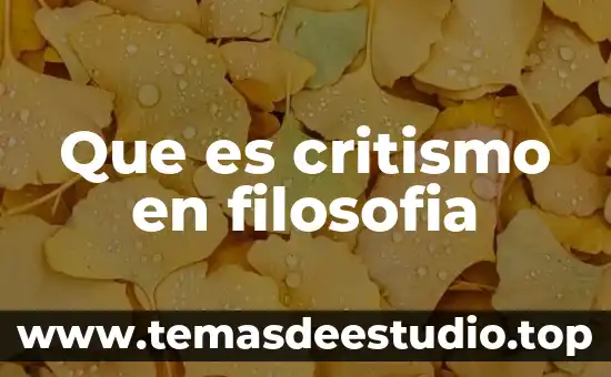 Que es un argumento o razonamiento en filosofia 6 Que es critismo en filosofia