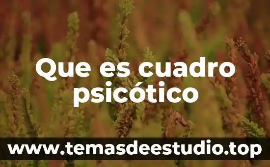 Que es y para que sirve le cuadro latino 8 Que es cuadro psicótico