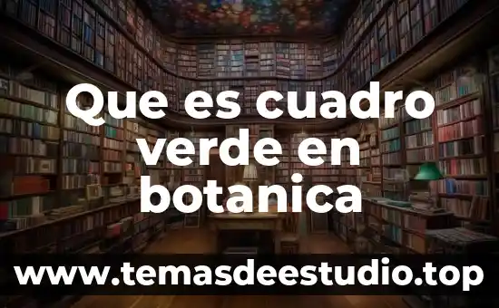 Que es un cuadro de nuve 5 Que es cuadro verde en botanica