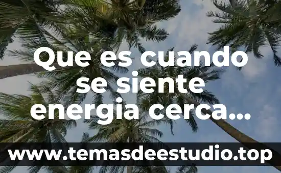 Cuando uno ya no tiene vesícula que es recomendable comer 7 Que es cuando se siente energia cerca de uno