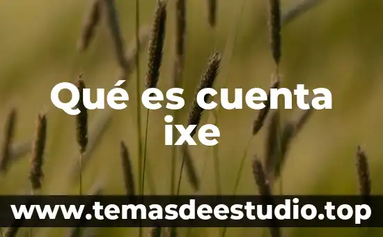 Cuenta básica que es 8 Qué es cuenta ixe