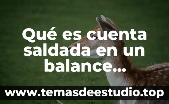 Qué es cuenta saldada en un balance general