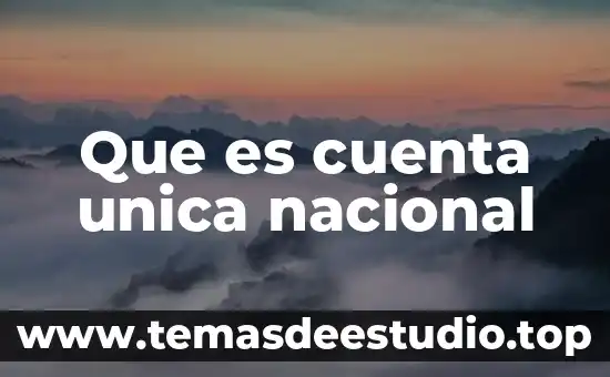 Qué es una empresa nacional y extranjera 8 Que es cuenta unica nacional
