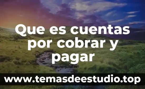 Que es cuentas por cobrar y pagar