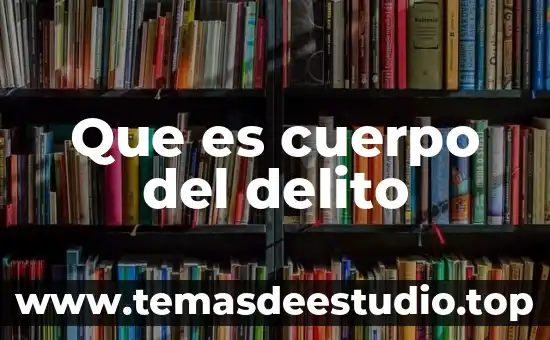 Qué es la construcción de la teoría del delito 6 Que es cuerpo del delito